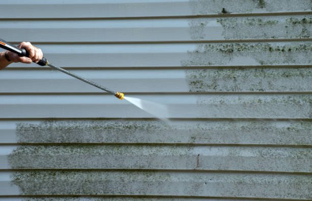 Best Attic Mold Removal  in Mountainside, NJ