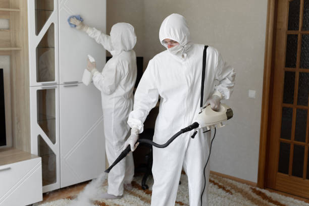 Best Crawl Space Mold Removal  in Mountainside, NJ