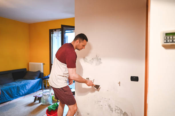 Best Home Mold Removal  in Mountainside, NJ